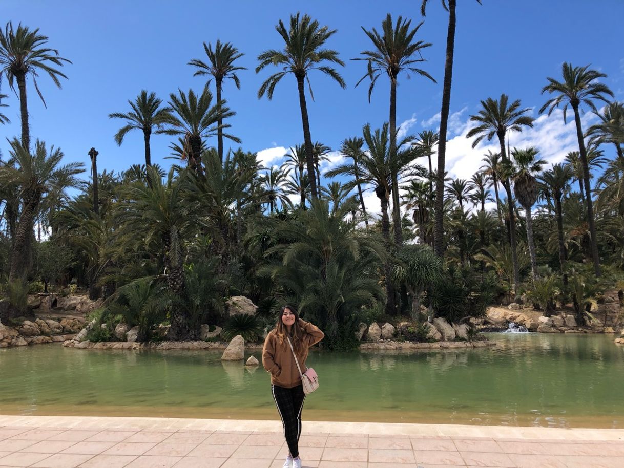 Place El Palmeral