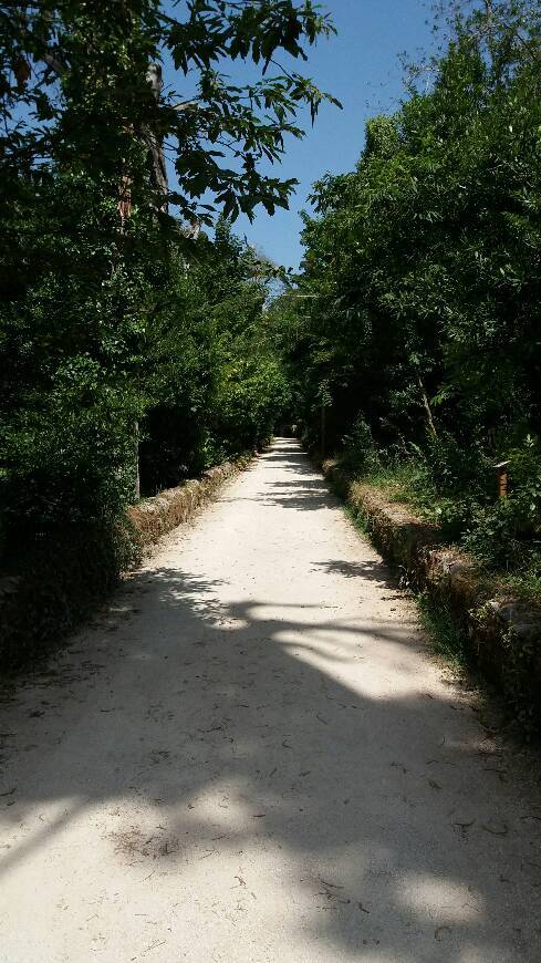 Place Serra do Buçaco