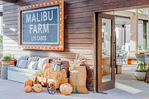 Malibu Farm Restaurant
