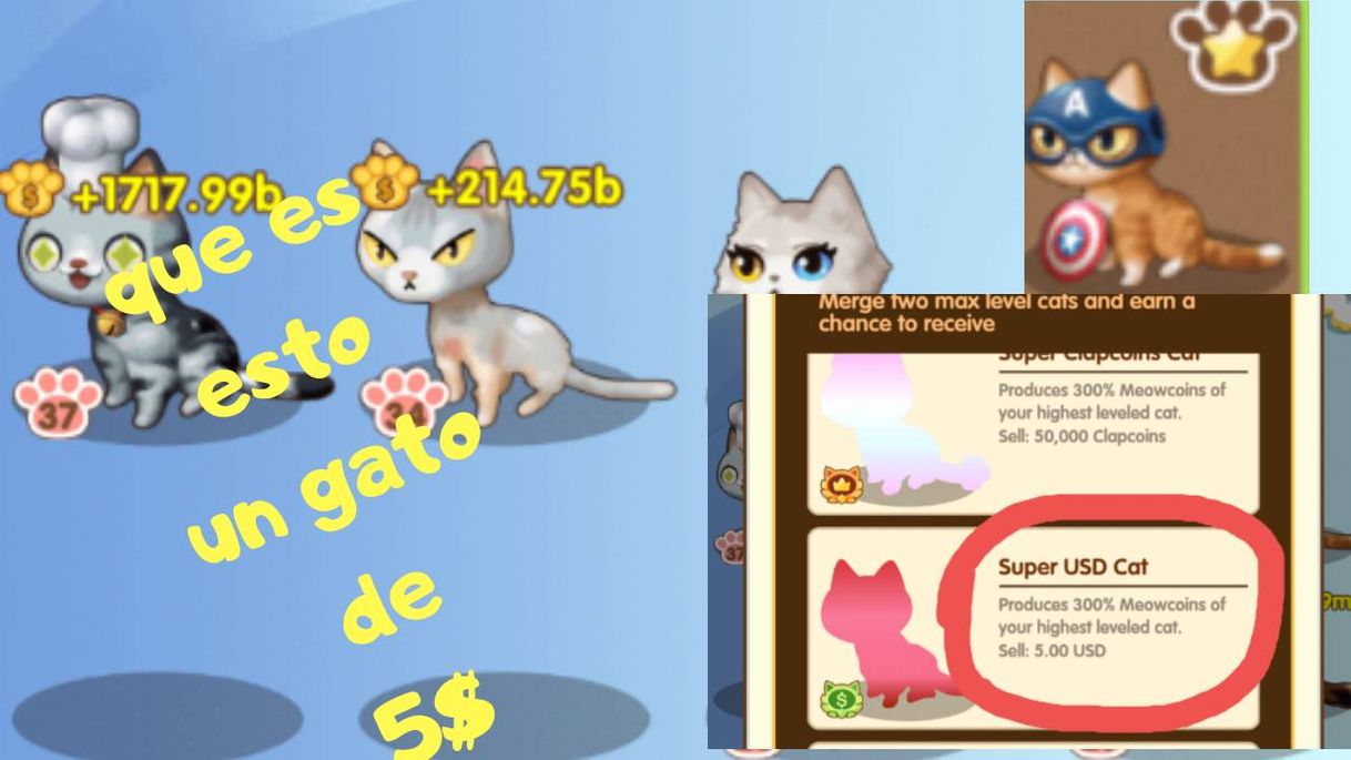 Fashion Nueva actualización para coin cat