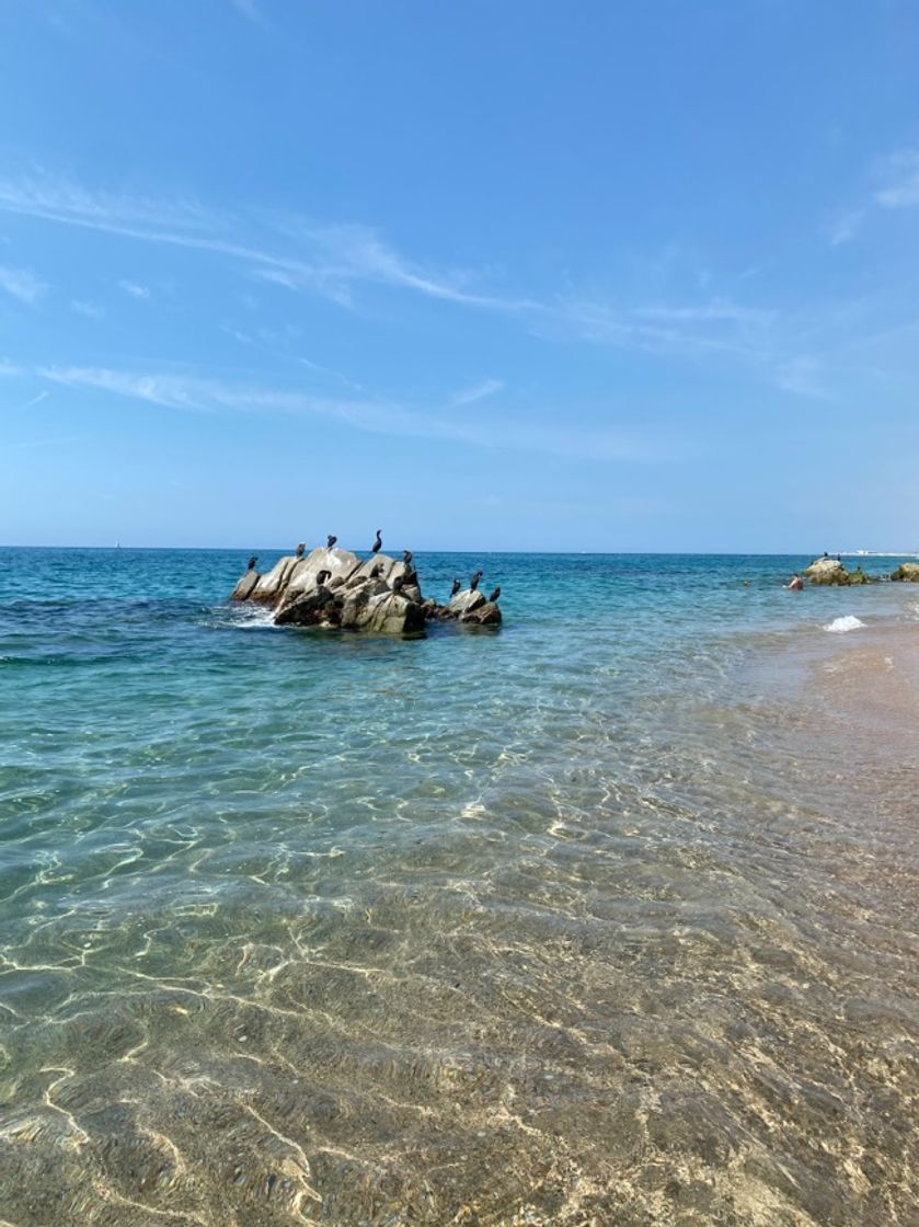 Lugar Cala roques blanques