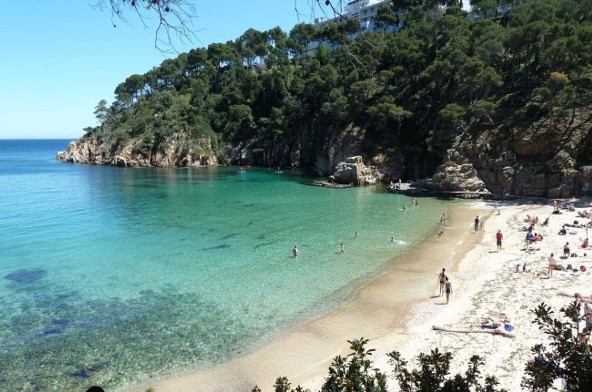 Lugar Playas de Begur