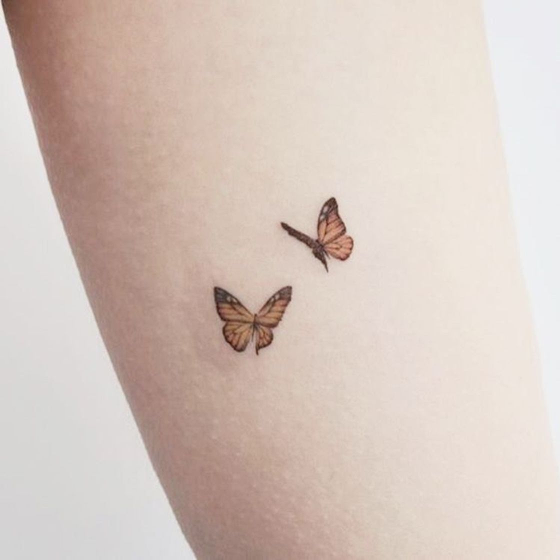 Moda Tattoo de borboleta 