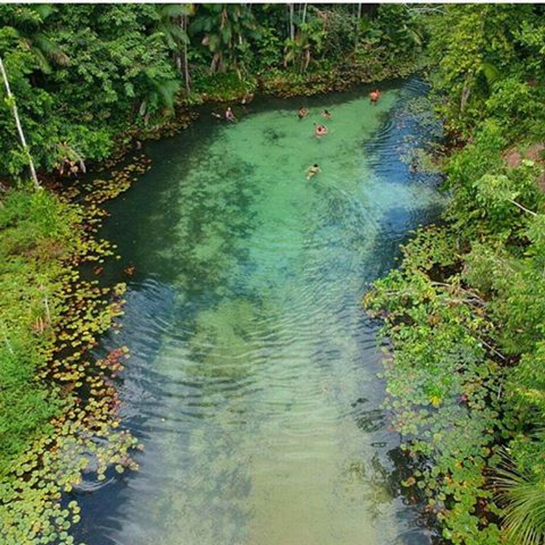 Lugar Lagoa de Coroatá (lago próximo a Cachoeira Grande) Preserve!!!)