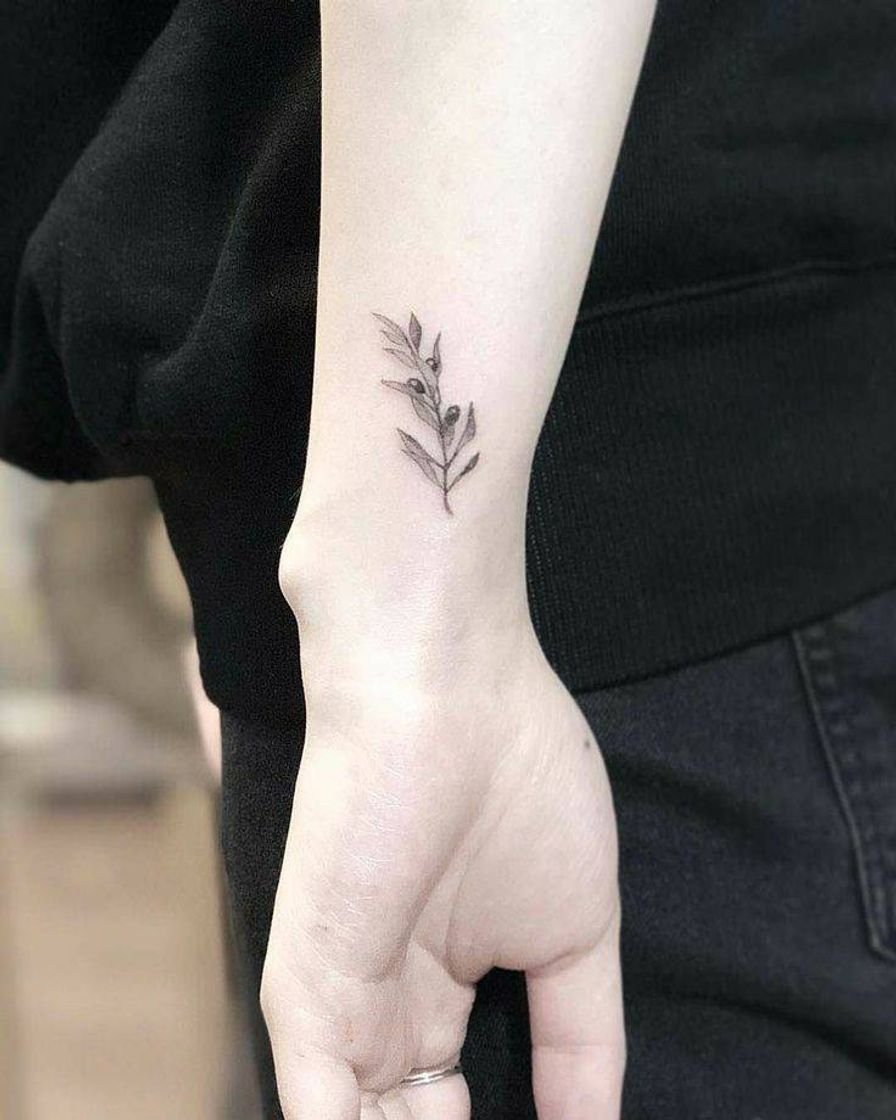 Social Mini tattoo oliveira
