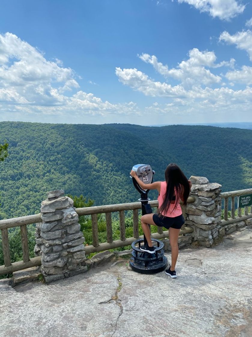 Place Coopers Rock State Forest