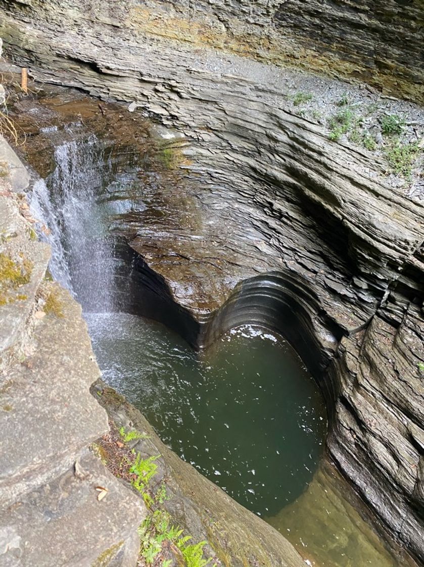 Place Watkins Glen