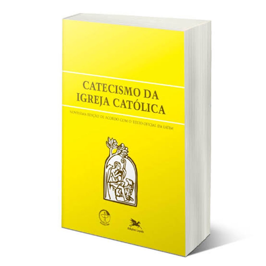 Book Catecismo da Igreja Católica 