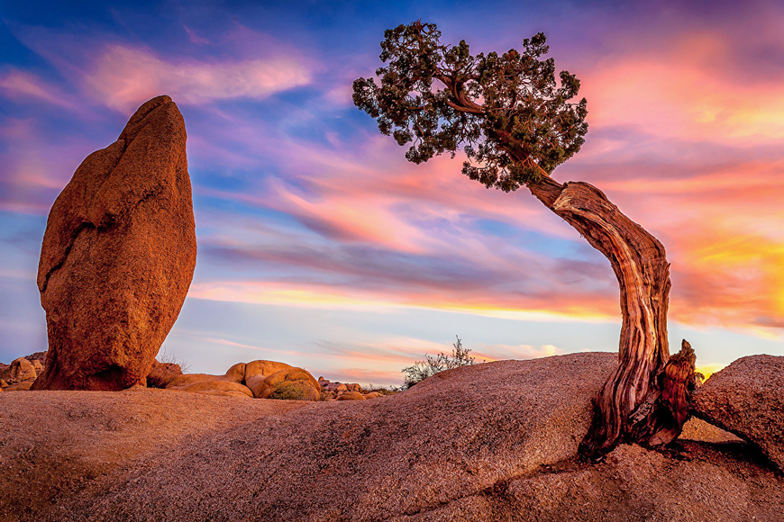 Lugar Joshua Tree