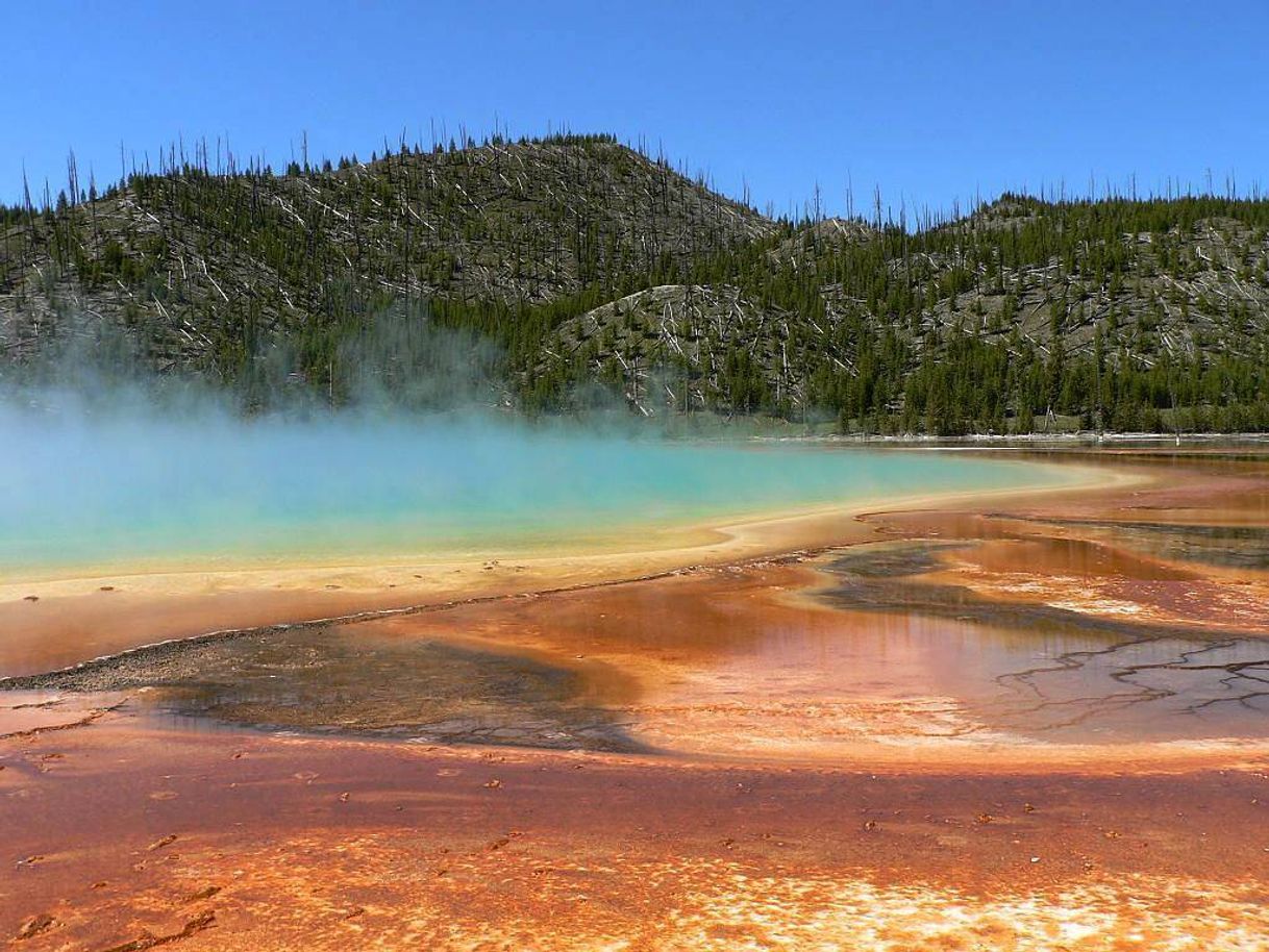 Lugar Grand Prismatic Spring