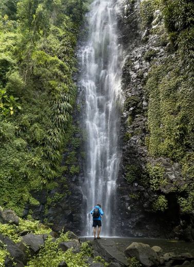 Lost World Trail