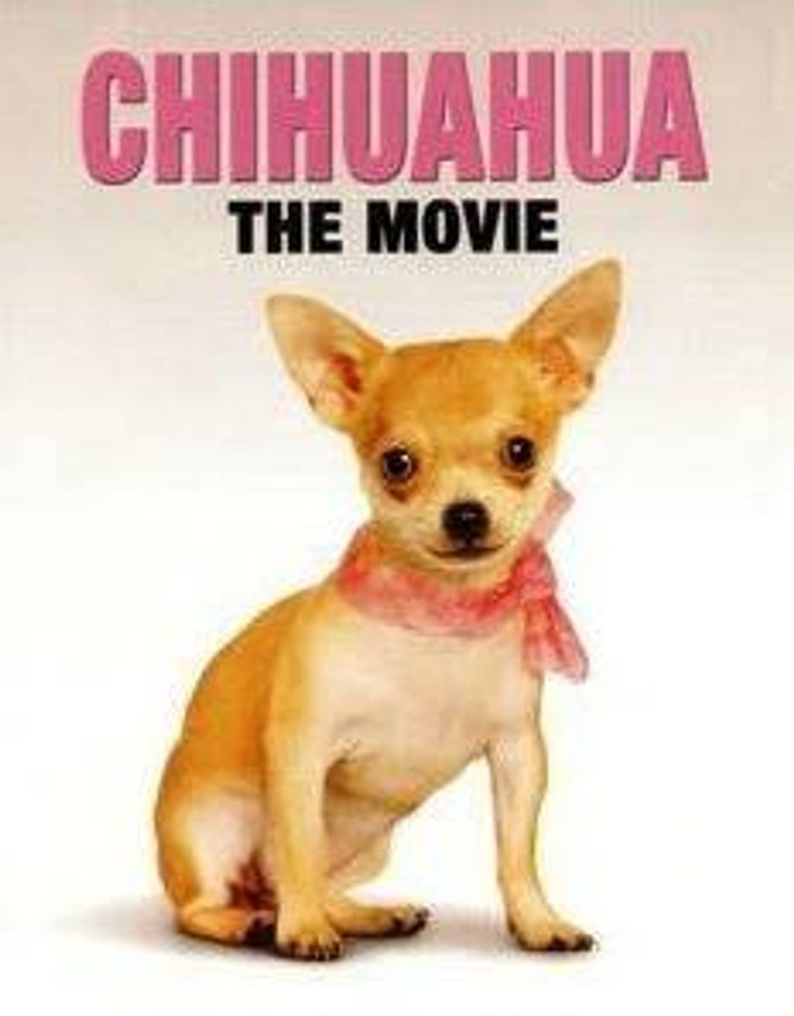 Película Chihuahua: The Movie