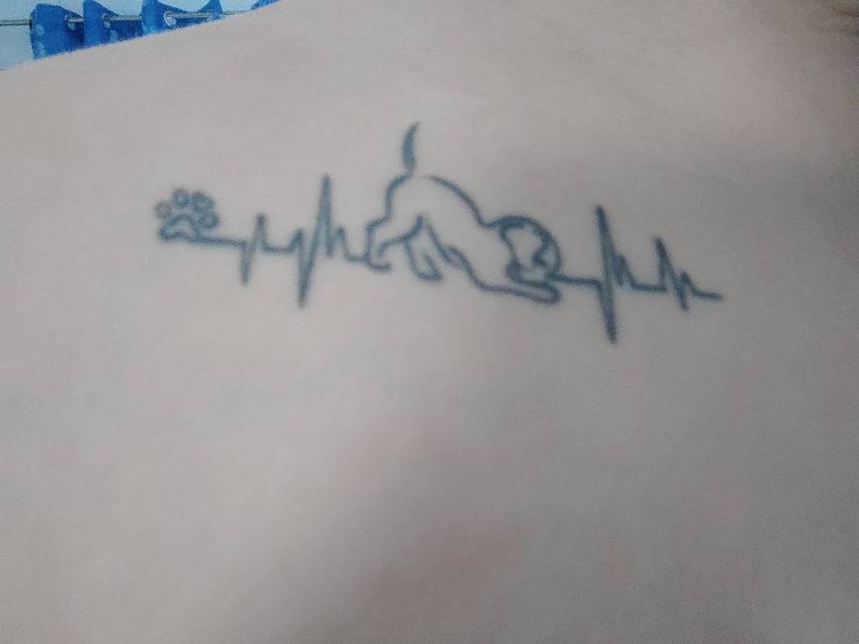 Social Tatuagem cão