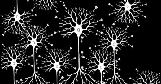 Fundamentals of Neuroscience, Part 2: Neurons and Networks ...