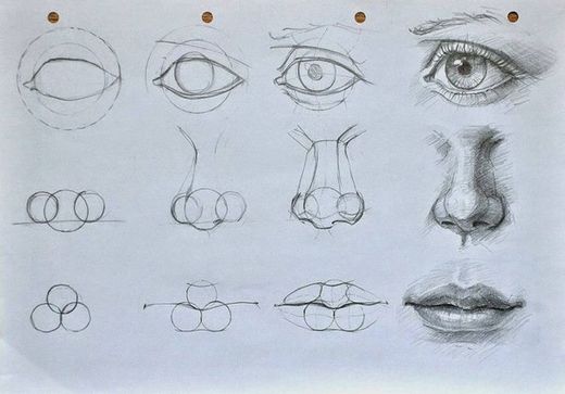 Dibujar narices