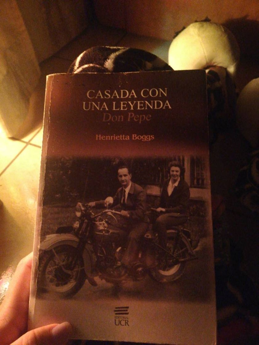 Book Leyendas y cuentos del bosque de Valsaín: Una guía de rutas con historia