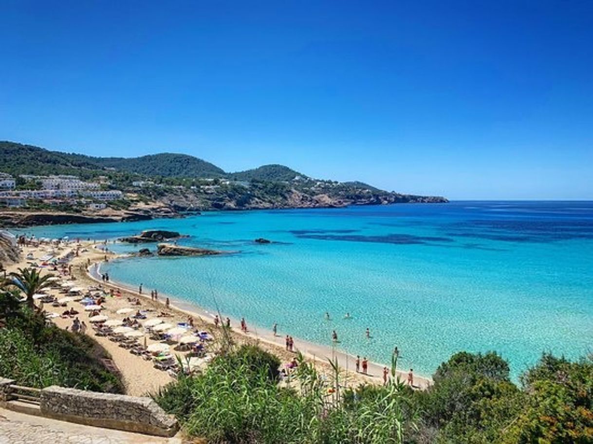 Place Cala Tarida