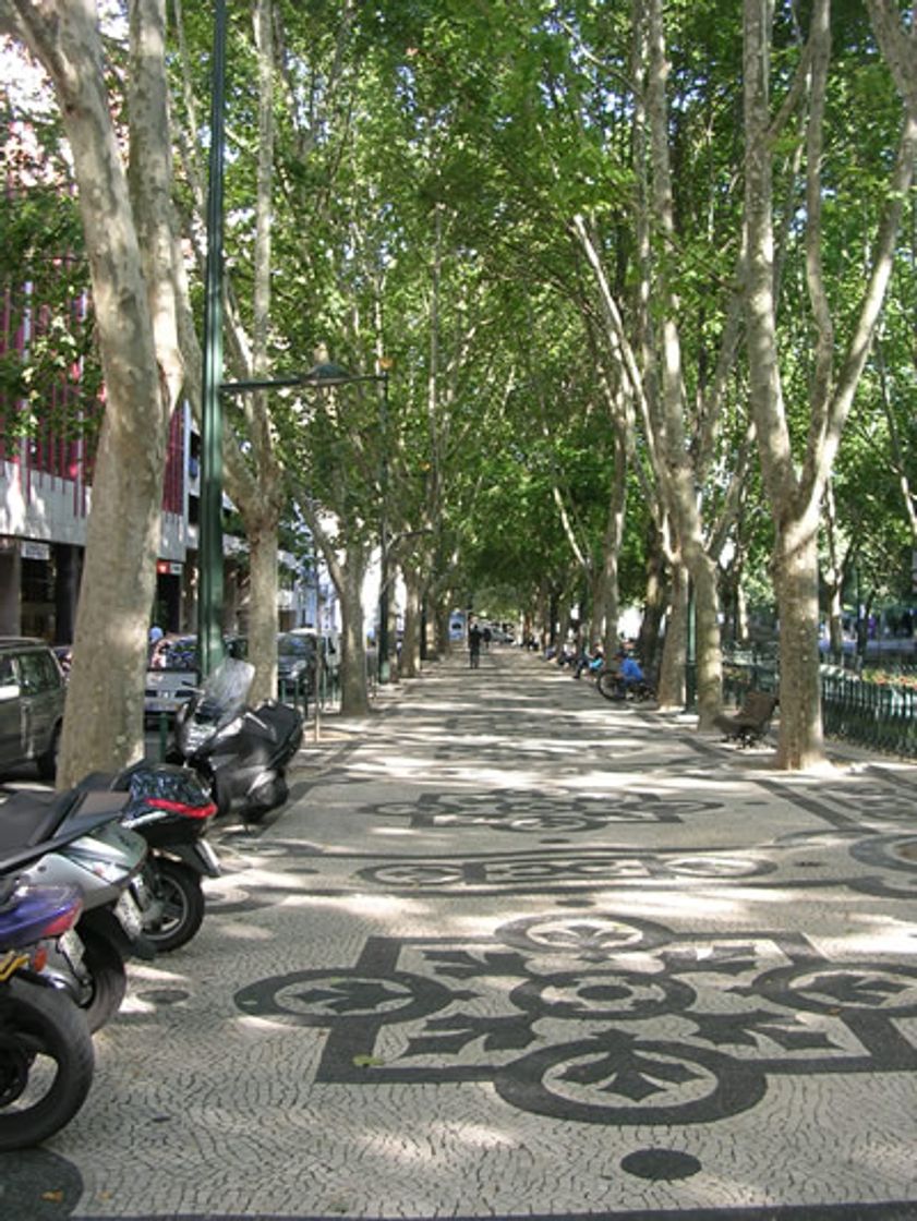 Lugar Avenida da Liberdade