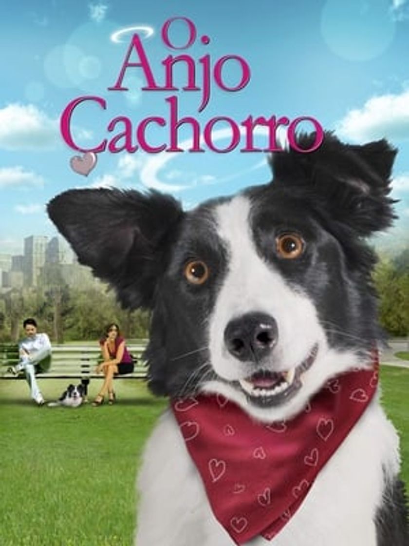 Película Un perro divino