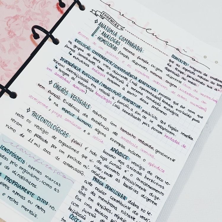 Social Caderno organizado✨