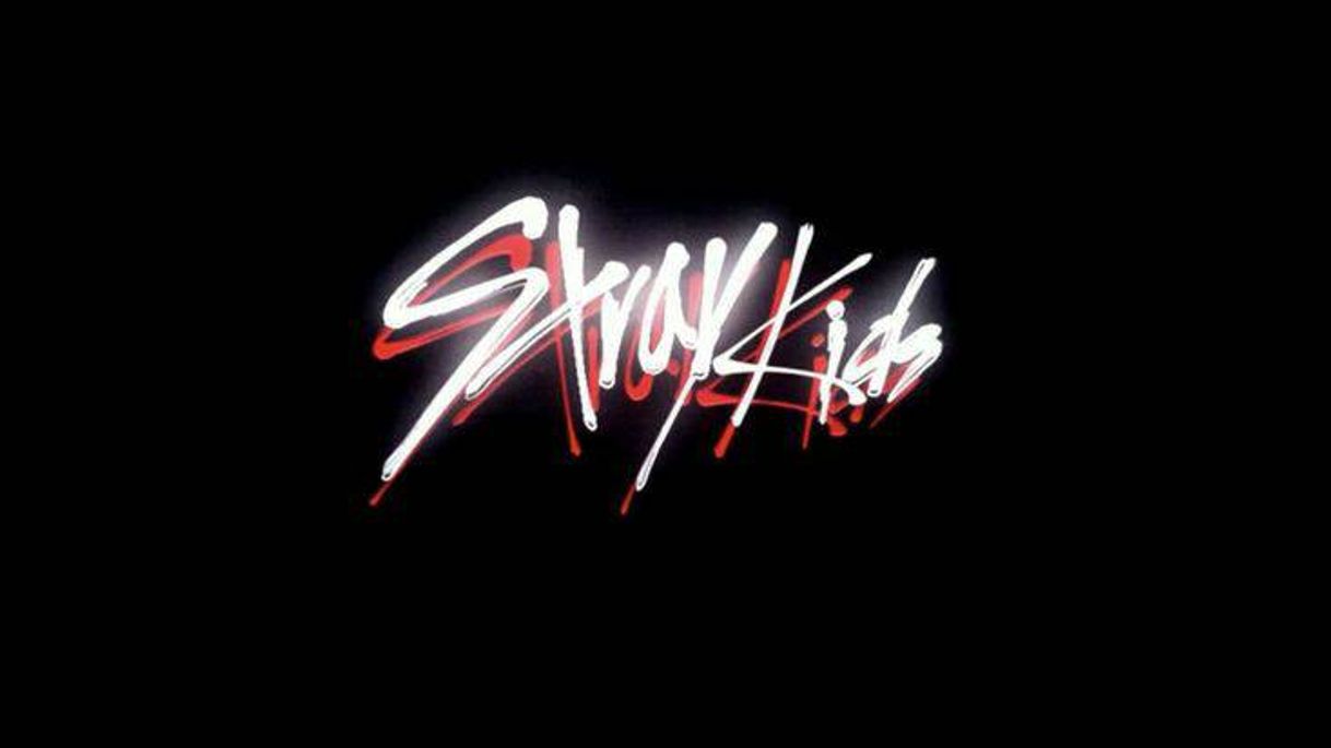 Series Stray Kids Programa