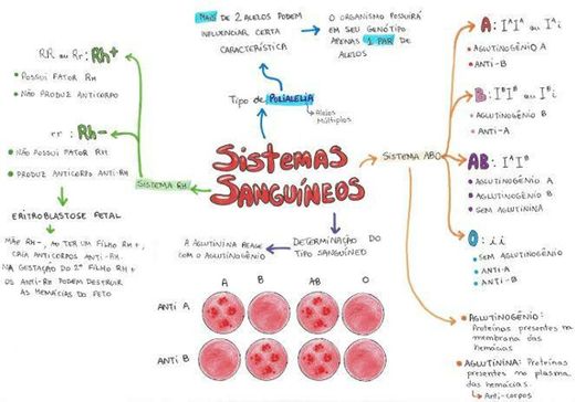 Sistemas Sanguineos