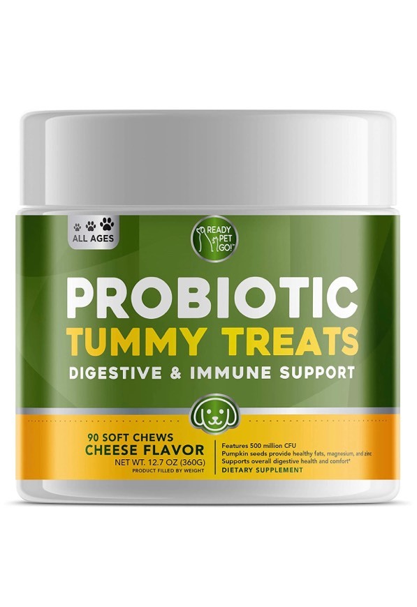 Moda dog probiotics