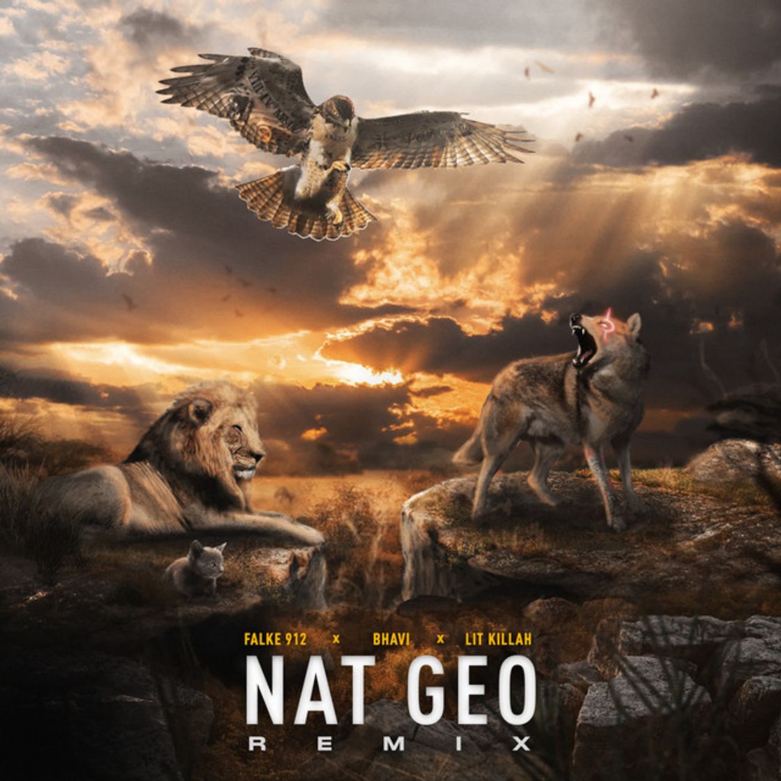 Canción Nat Geo (Remix)