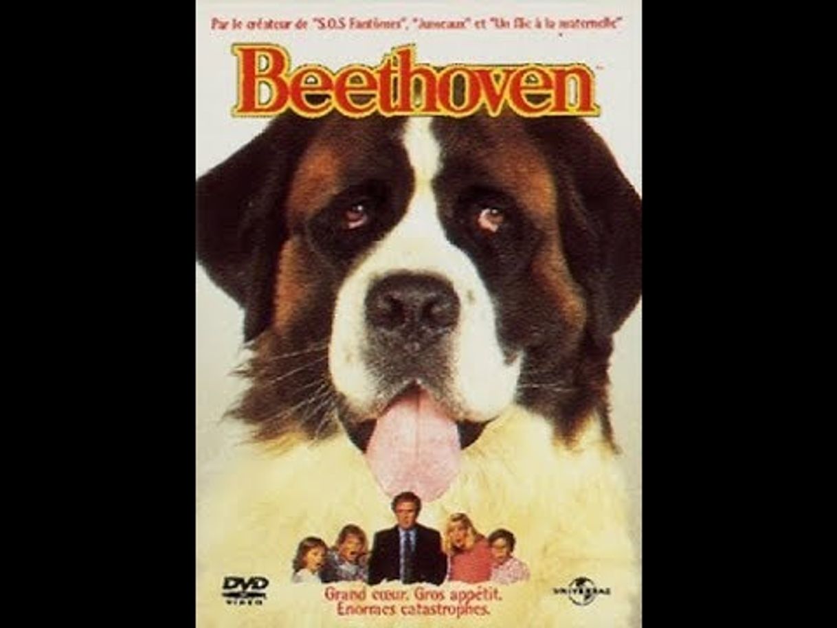 Social Beethoven TRUEFRENCH - YouTube