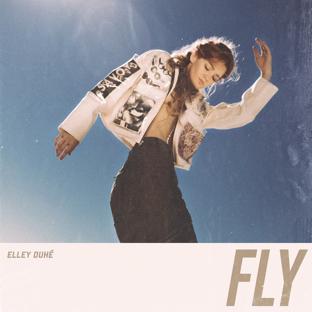 Canción Fly