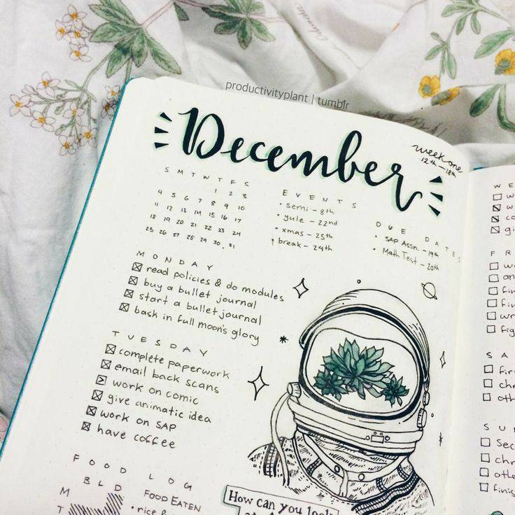 Moda Bullet Journal 