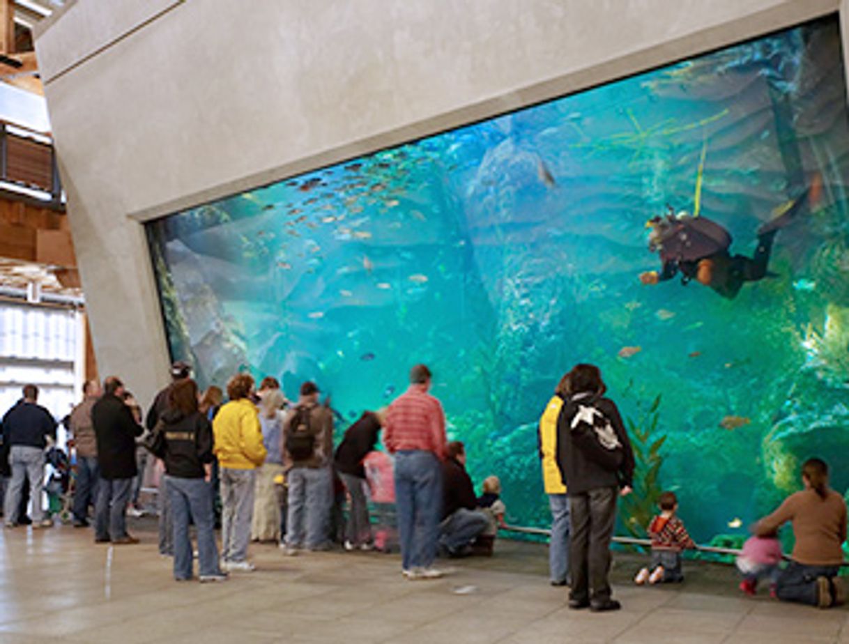 Place Seattle Aquarium