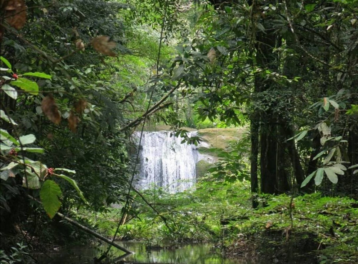 Lugar El Cacao