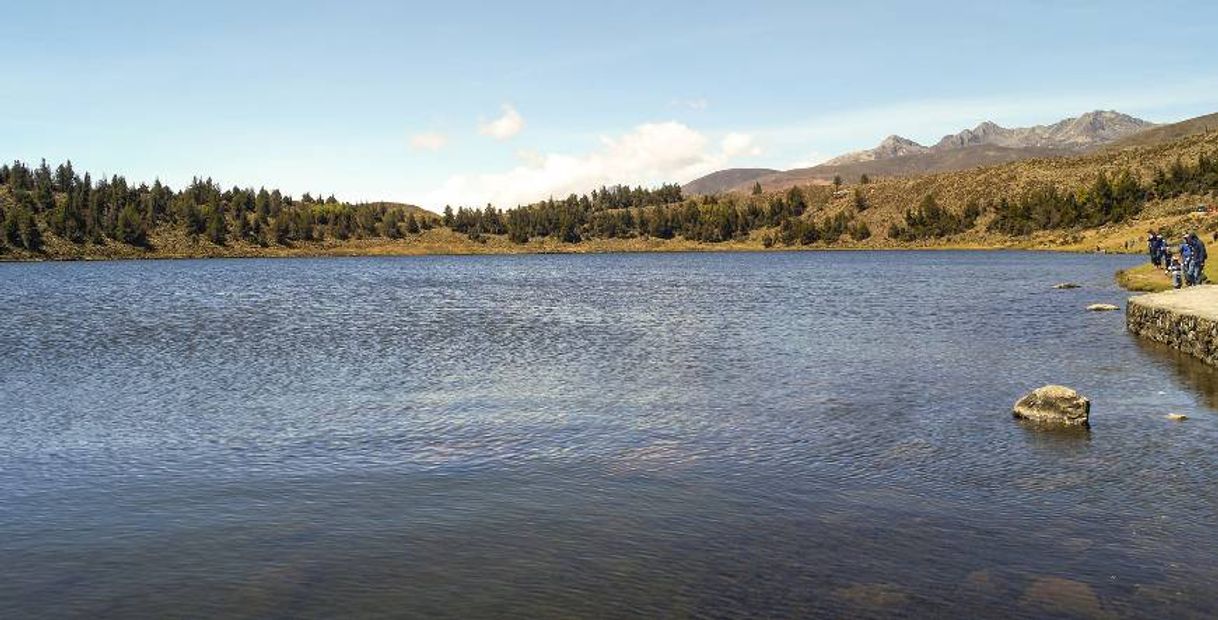 Moda Laguna de Mucubají