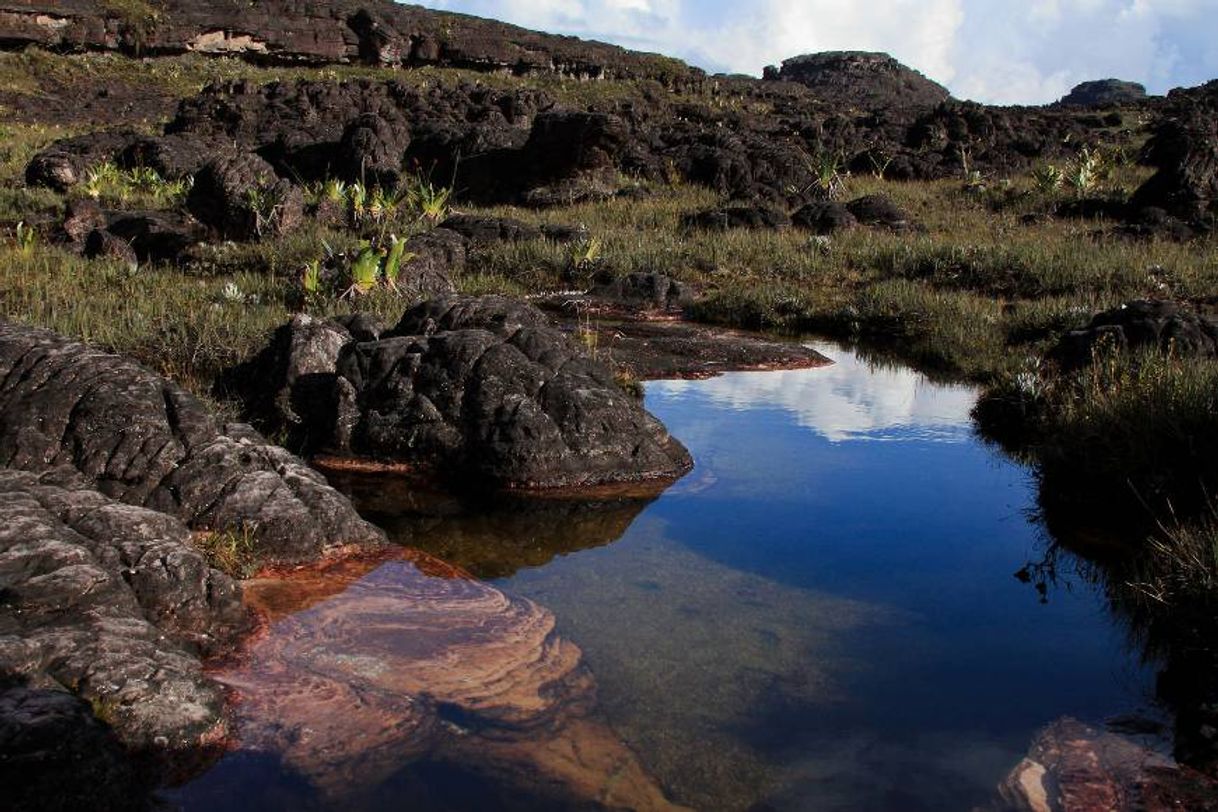 Moda En el mundo perdido de Roraima se encuentra la Piscina natural de ...