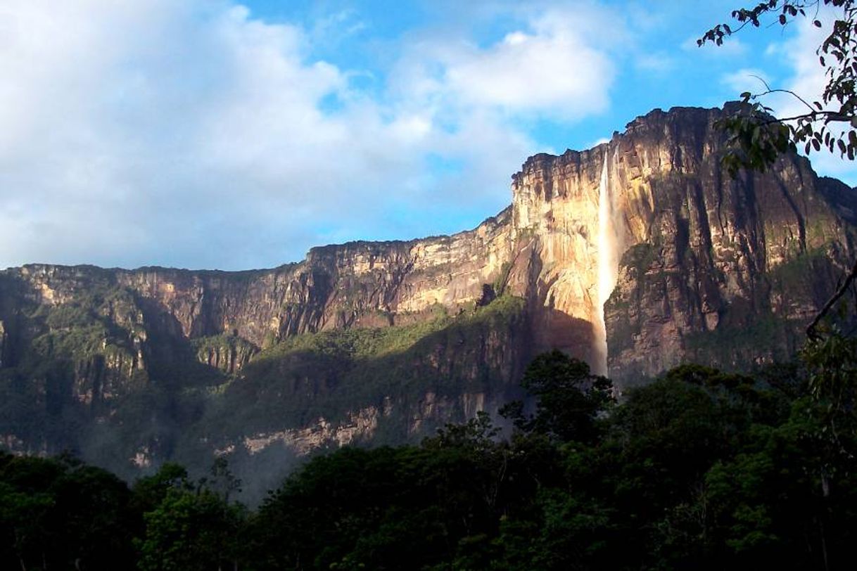 Moda Salto Ángel - Venezuela Tuya