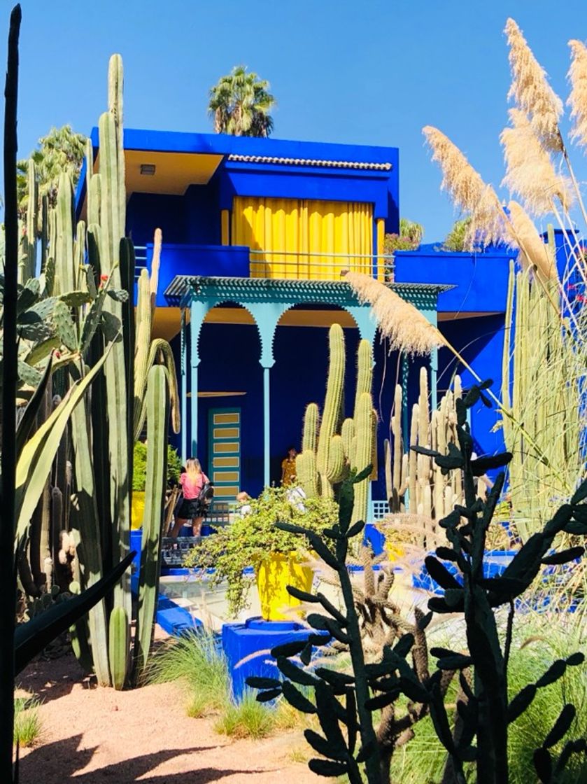 Lugar Jardín Majorelle