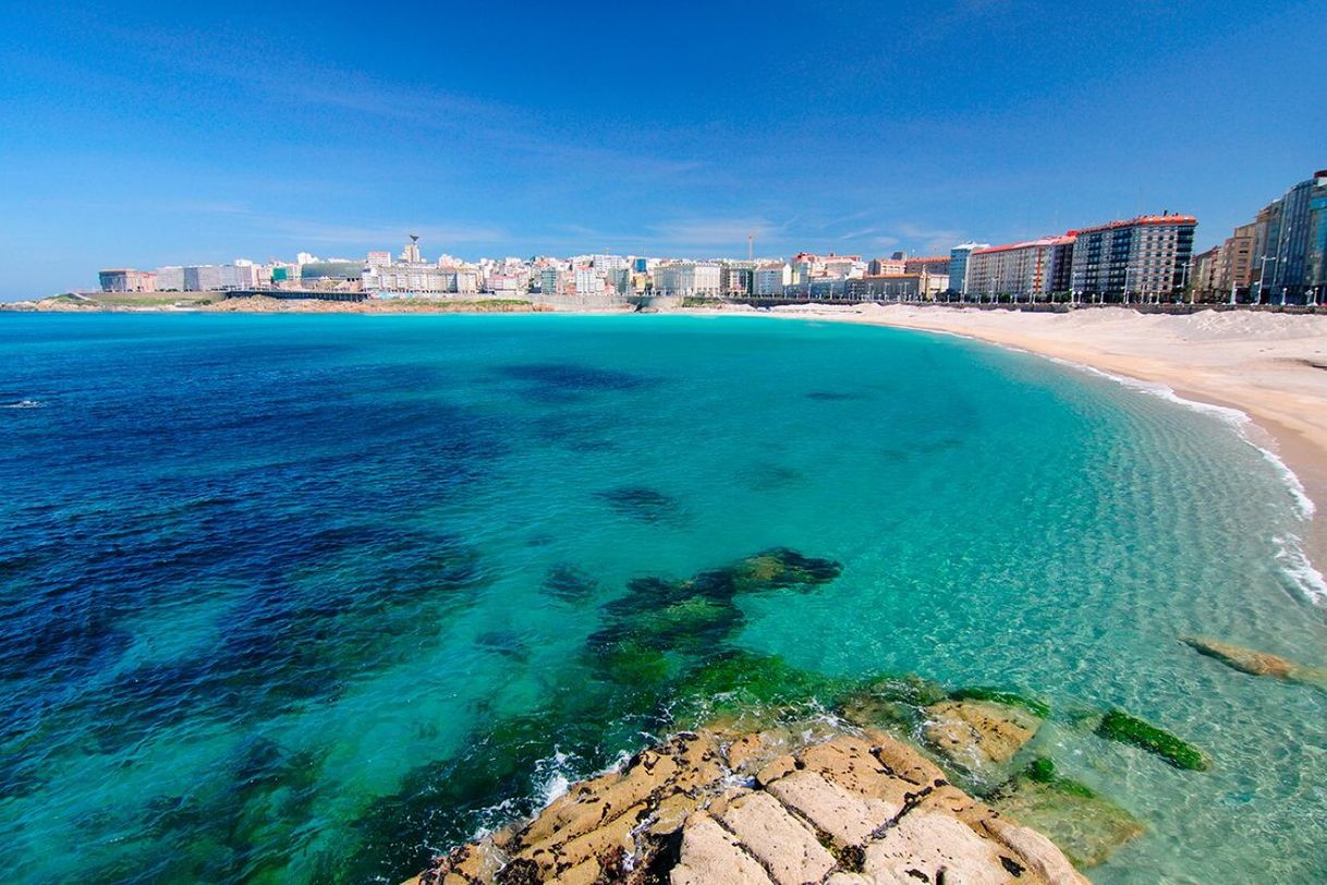 Place Playa de Riazor (La Coruña)