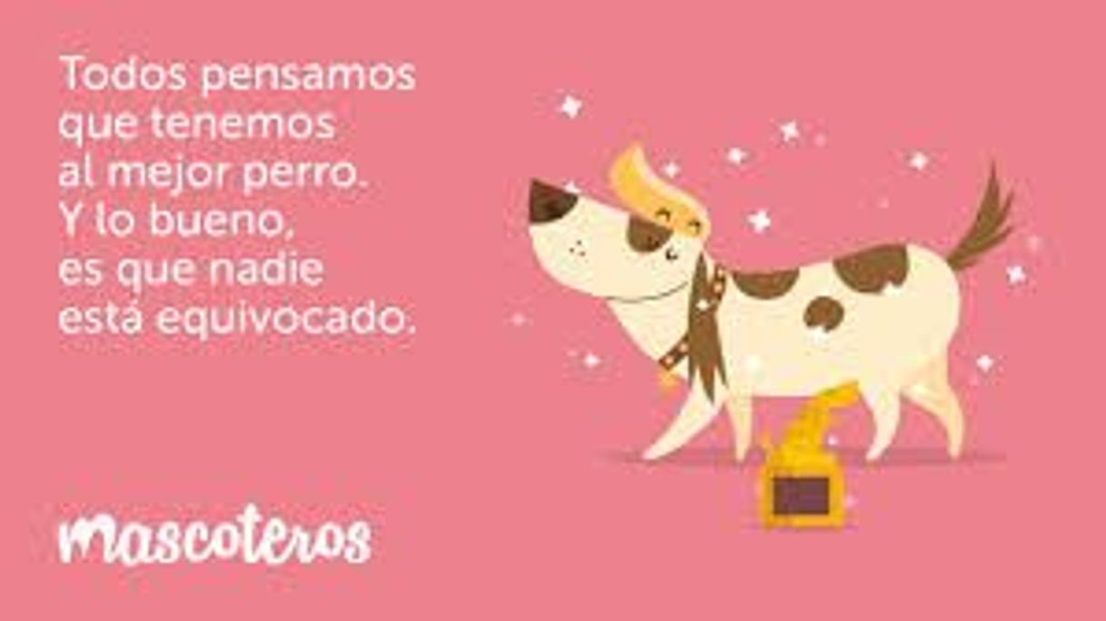 Social Mascoteros | (@mascoteros.es) • Instagram photos and videos