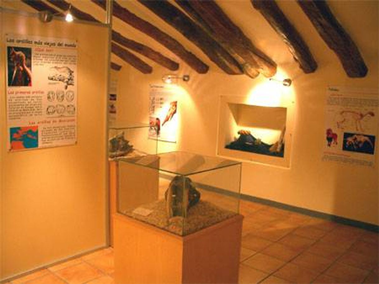 Moda C.I. Paleontología