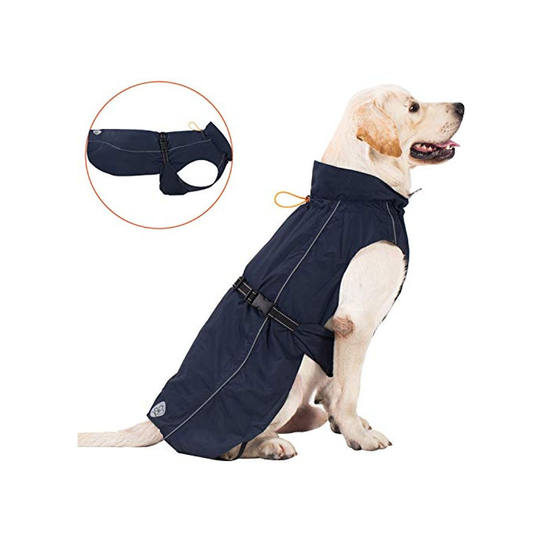 Social Pro Plums - Chubasquero para perro