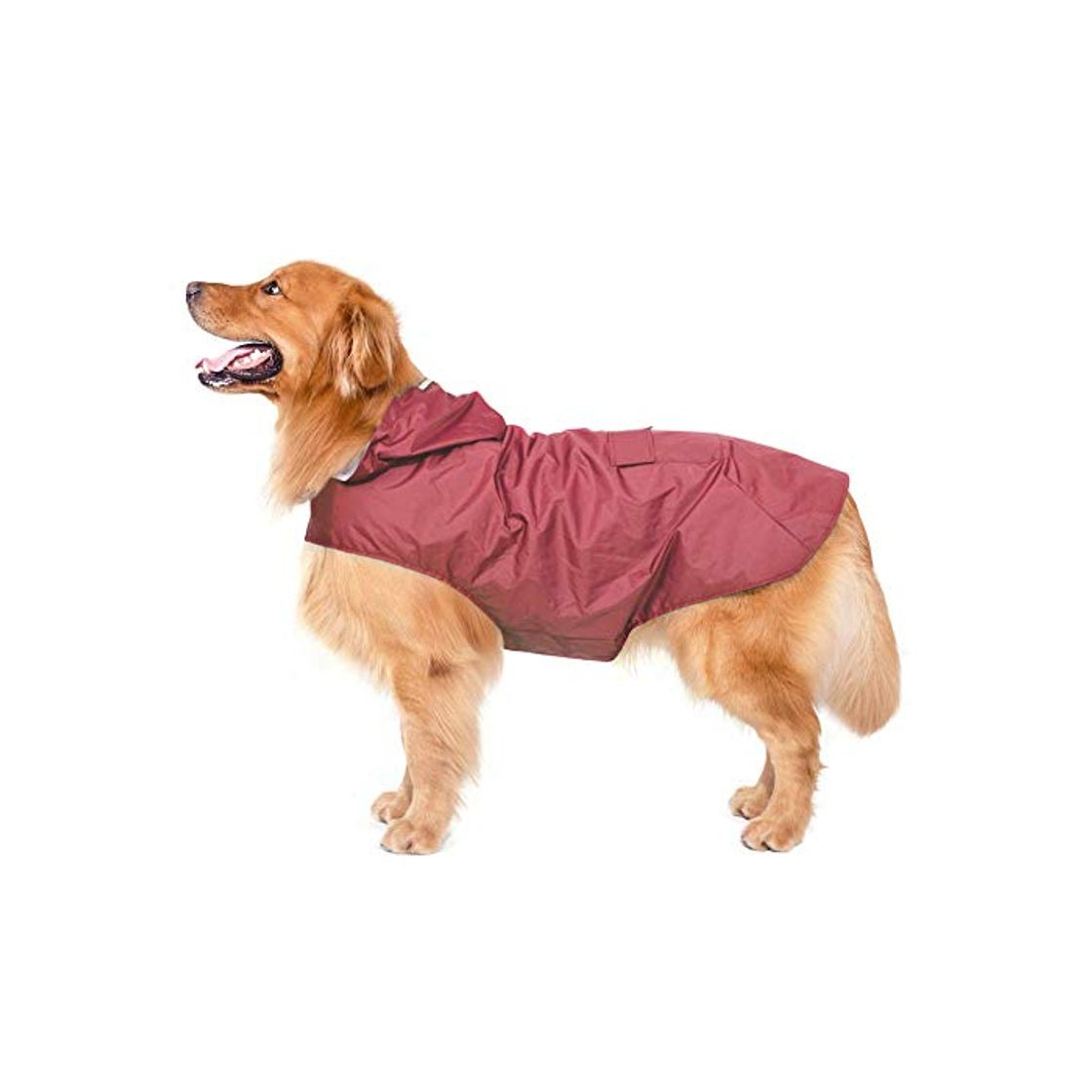 Social Bwiv Impermeable Chubasquero para Perros Grandes con Capucha Ajustable Ultra