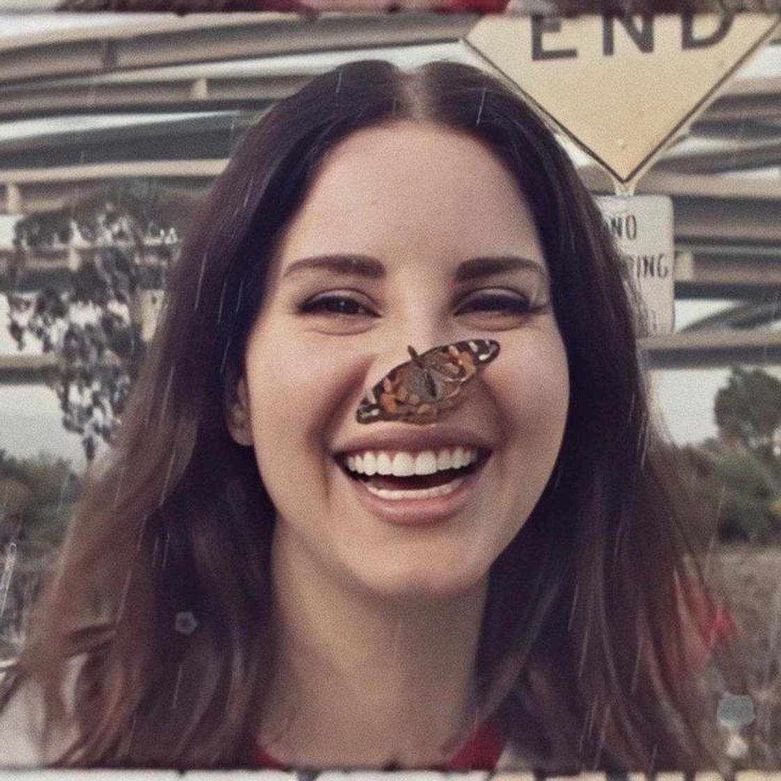 Social Lana del rey