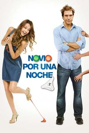 Película Novio por una noche