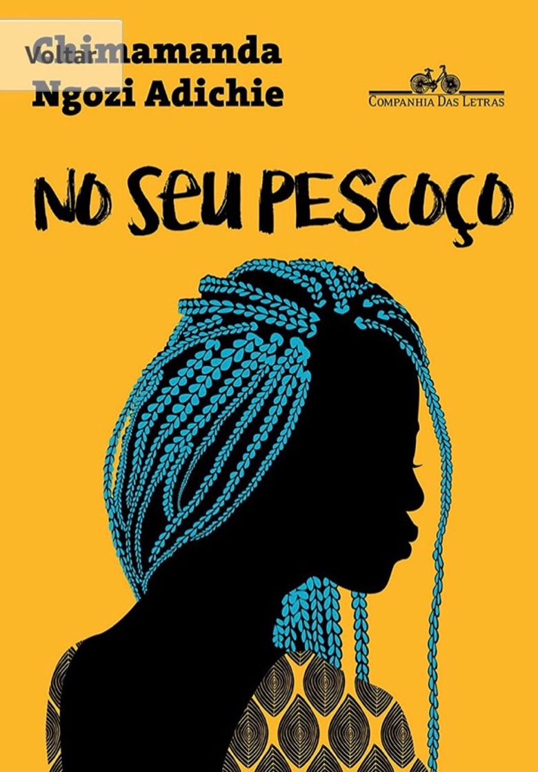 Book Livro No Seu Pescoço da Chimamanda Adichie 