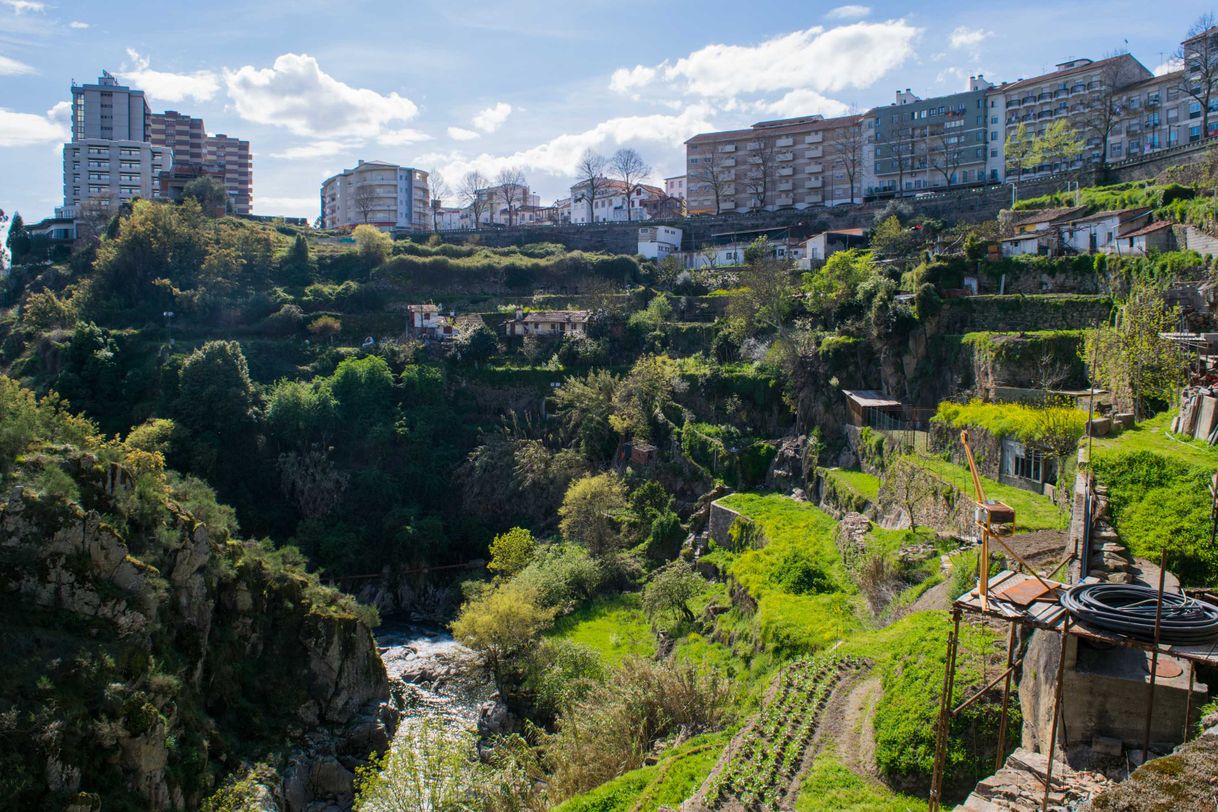 Lugar Vila Real