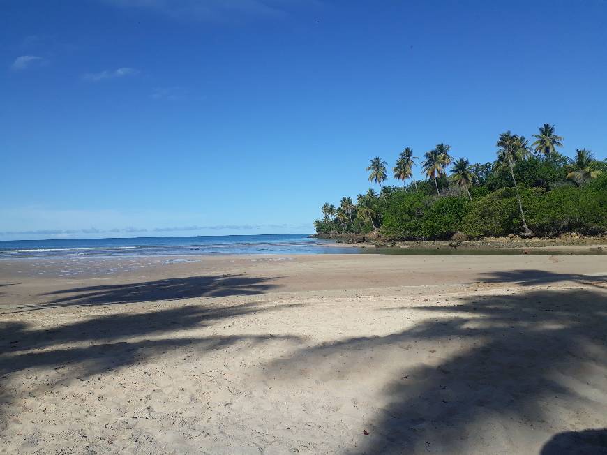 Lugar Boipeba