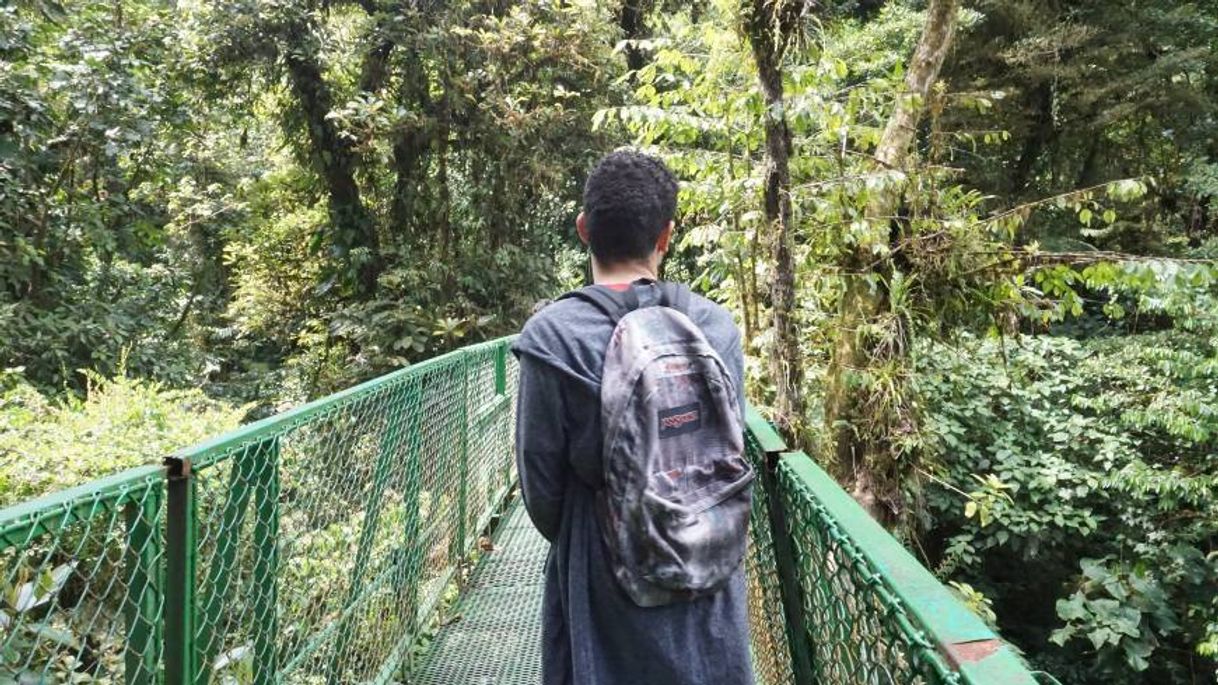 Place Selvatura Adventure Park