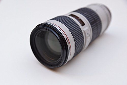 Canon EF 70-200MM F/4L USM - Objetivo para Canon
