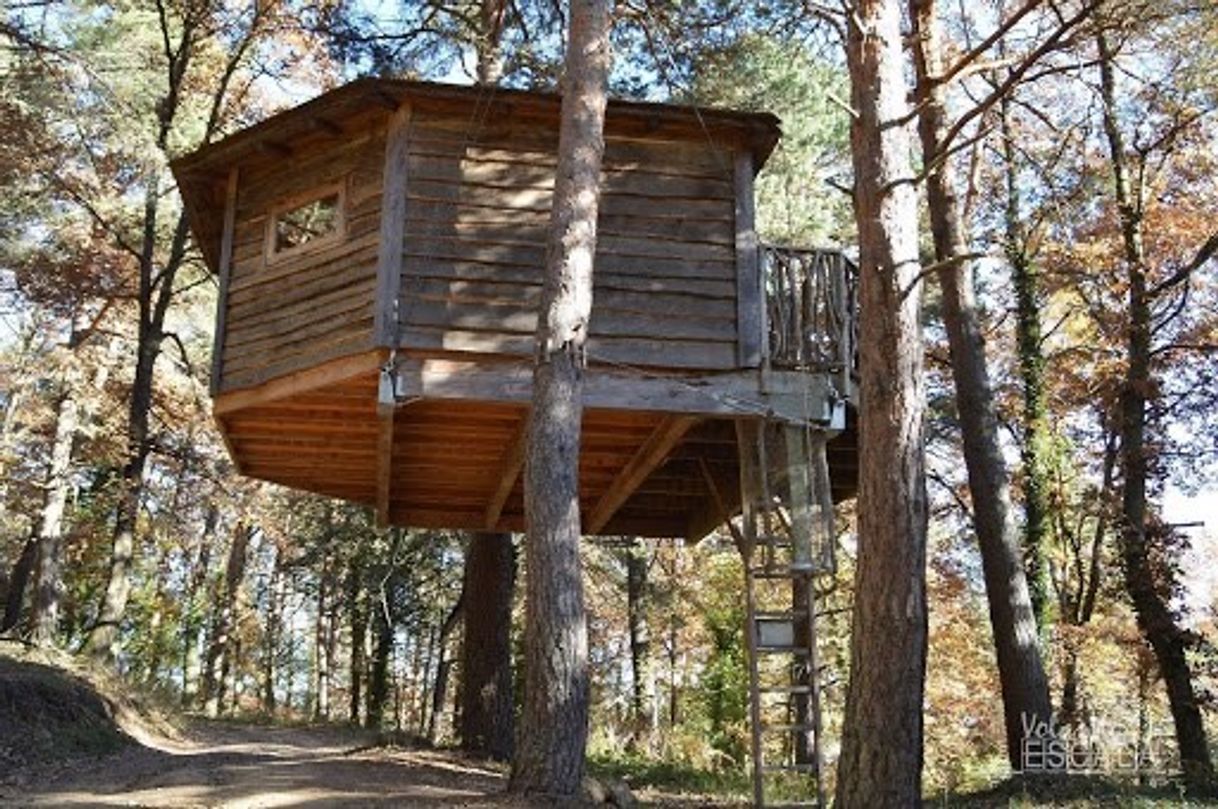 Social Cabanes als arbres